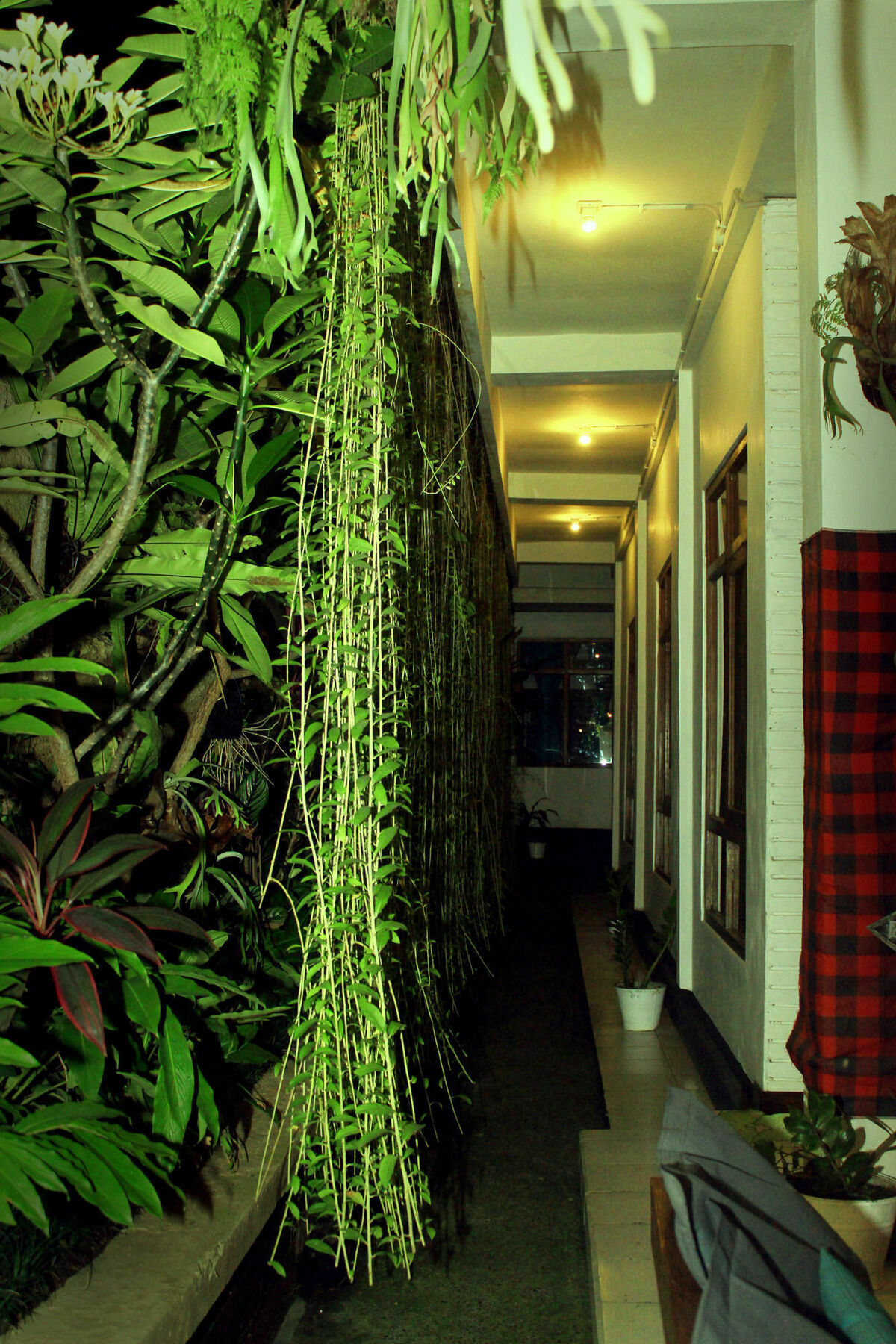 Friendly House Bali Vandrehjem Ubud Eksteriør billede